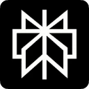 Logo Perplexity